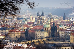 Stará Praha foto